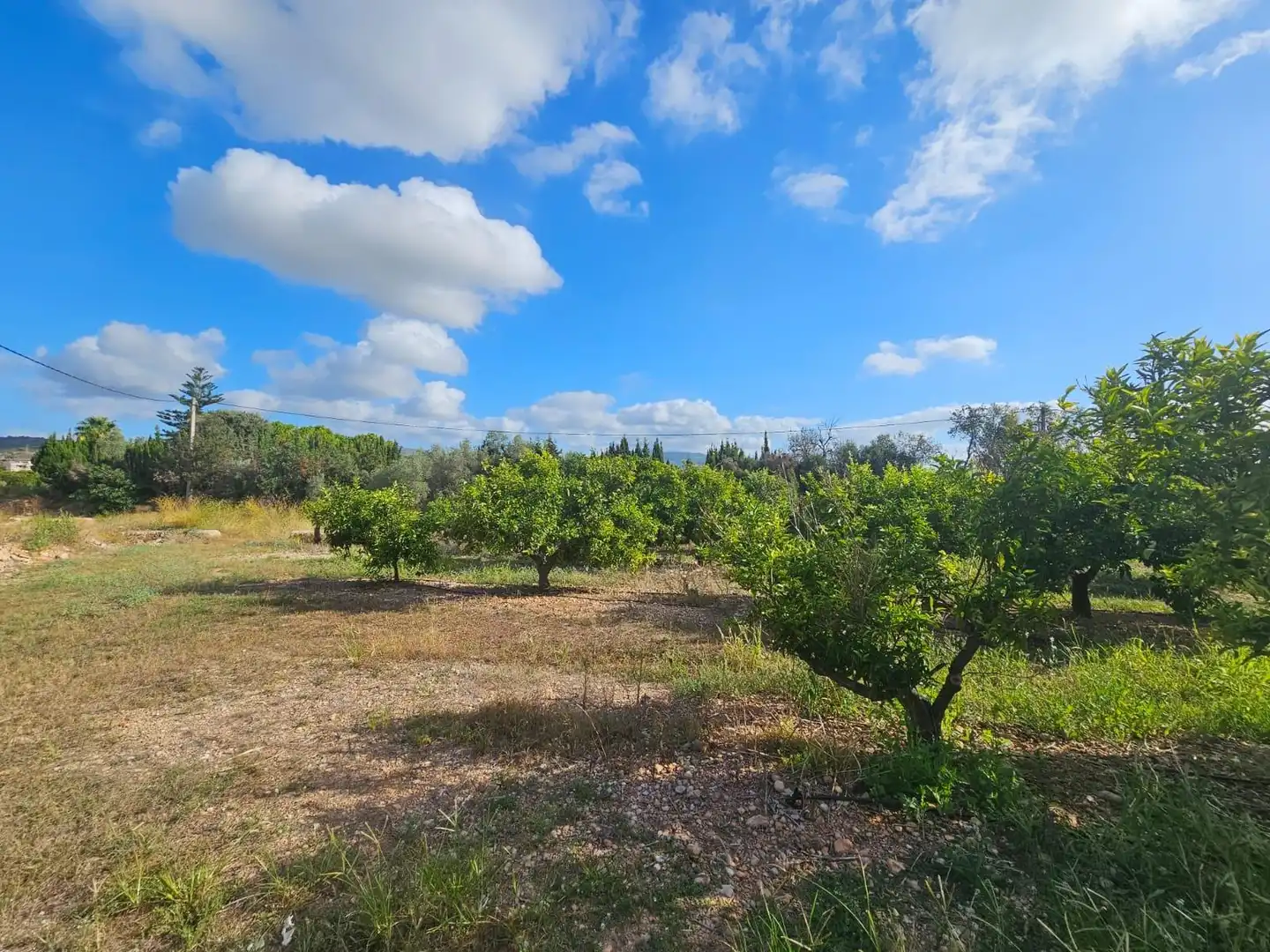 Country house for sale in Alcanar, imagen 4