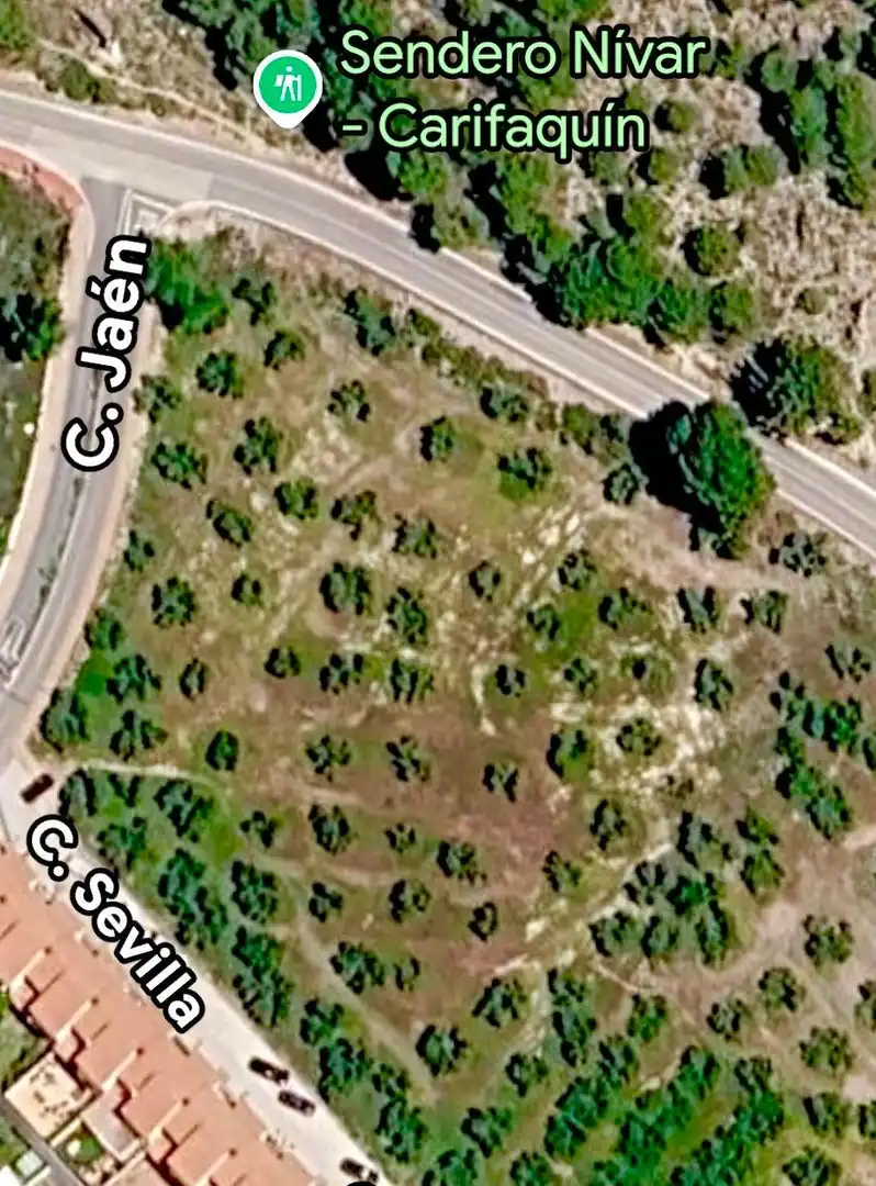 Rustikales Grundstück zum Verkauf in Nívar, imagen 26