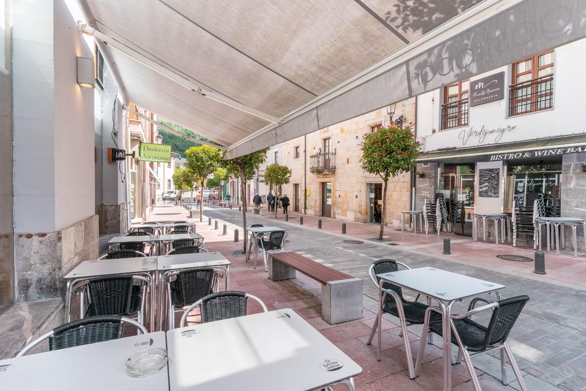 Terrassa de Local en venda en Cangas de Onís amb Moblat