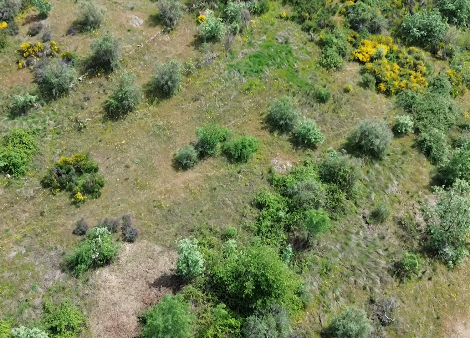 Terreni e lotti in vendita a Viandar de la Vera, imagen 4