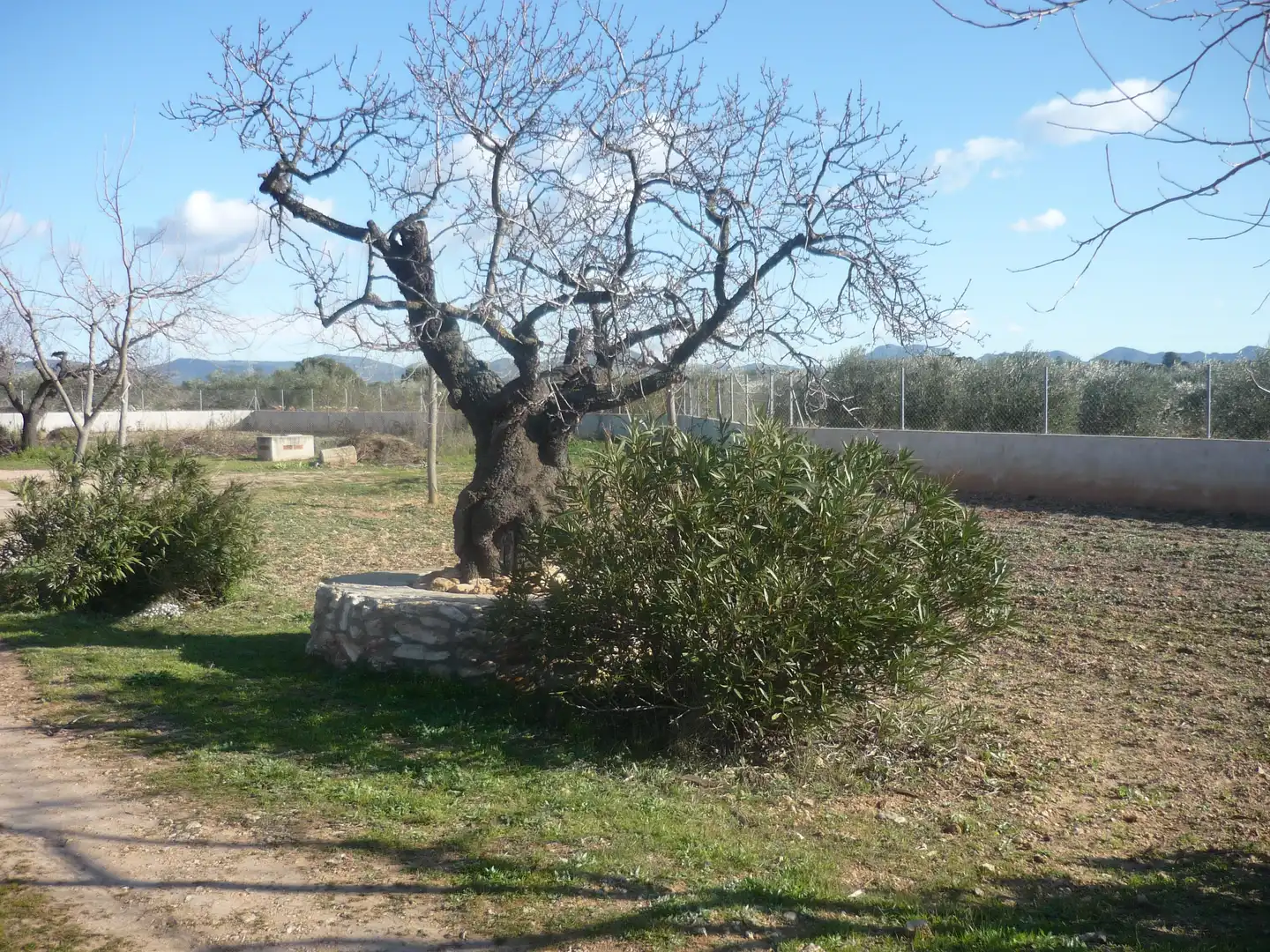 Garden of Land for sale in Vila-rodona