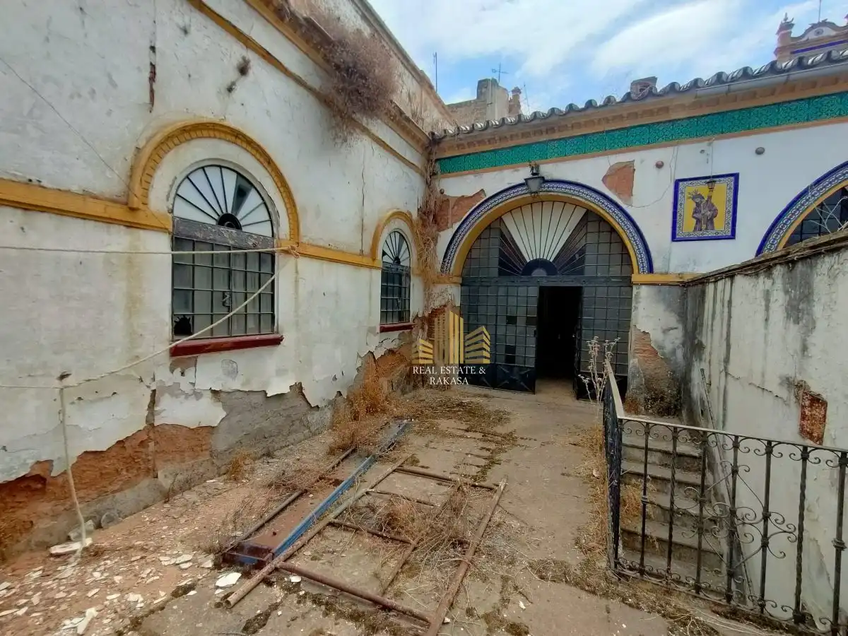 Terreni e lotti in vendita a Nueva Alcalá, imagen 7