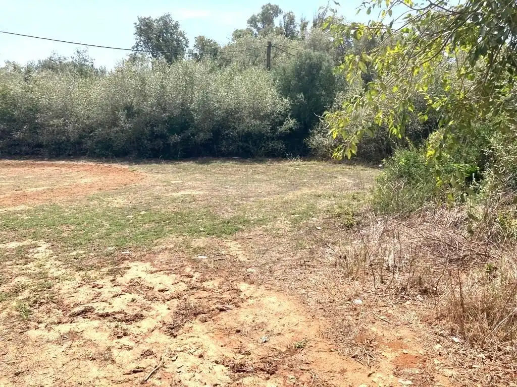 Residential land for sale in La Muela