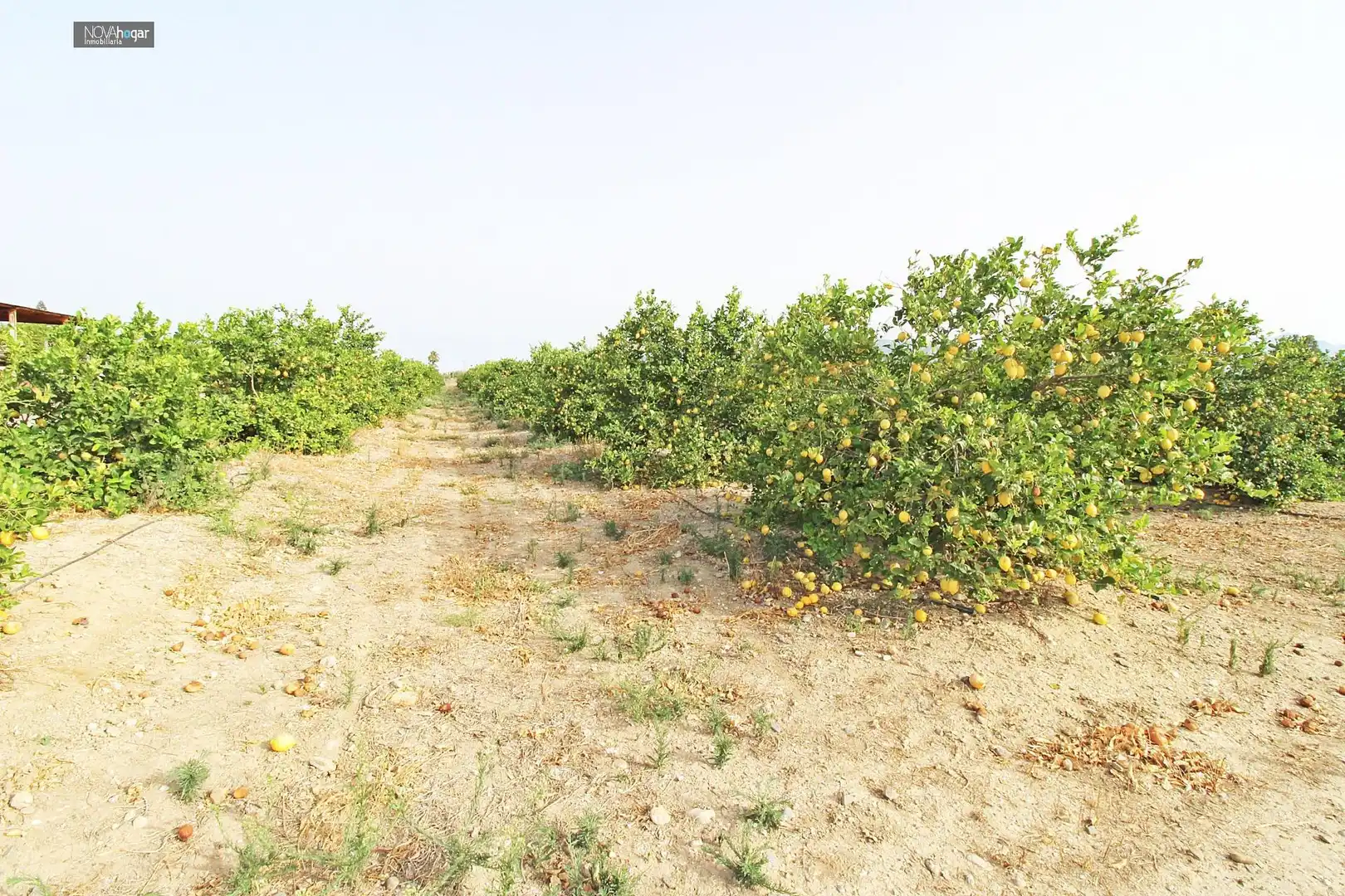 Finca rústica en venta en Málaga