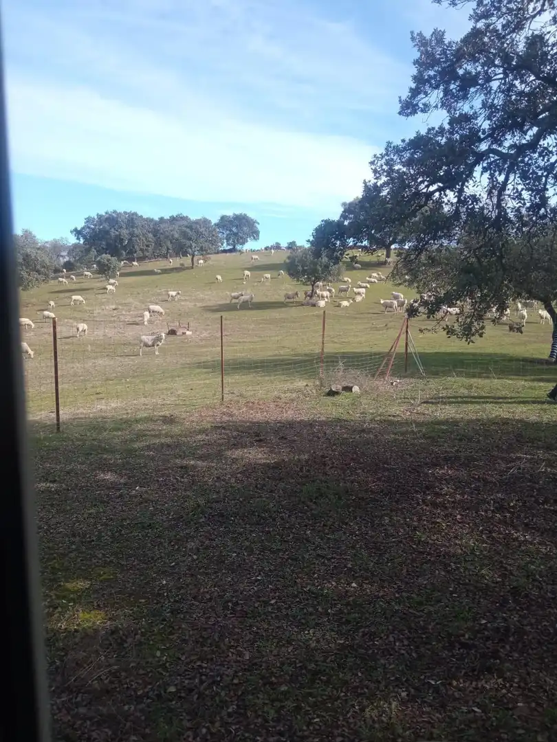 Finca rústica en venda en Cardeña