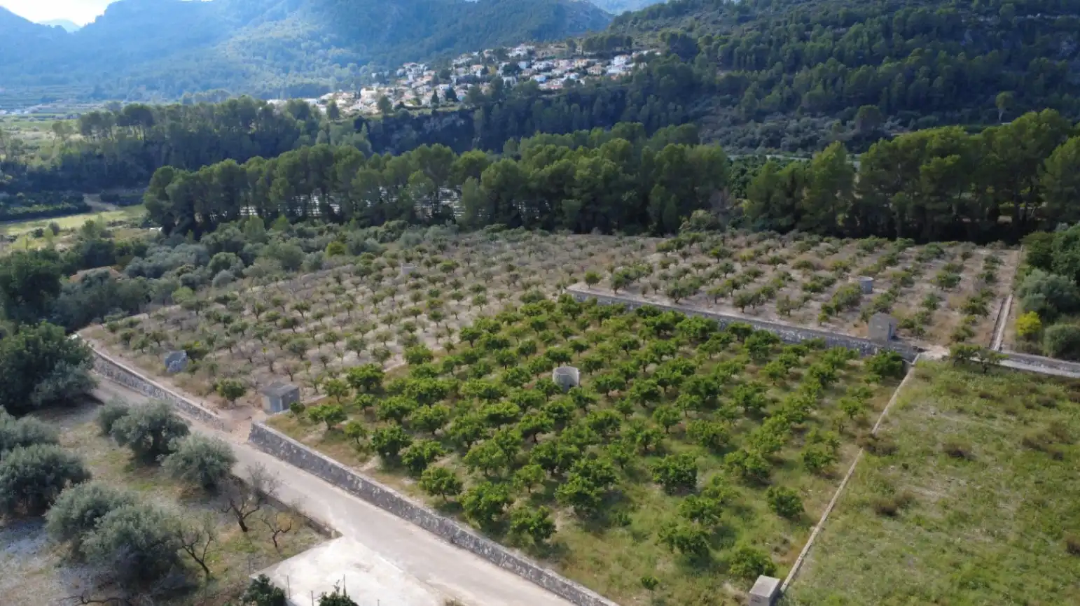 Terreny residencial en venda a Orba, imagen 7