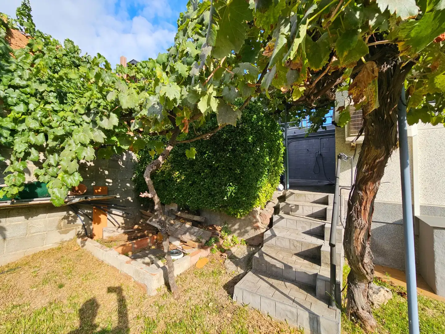 Jardín de Casa o chalet en venta en Canovelles