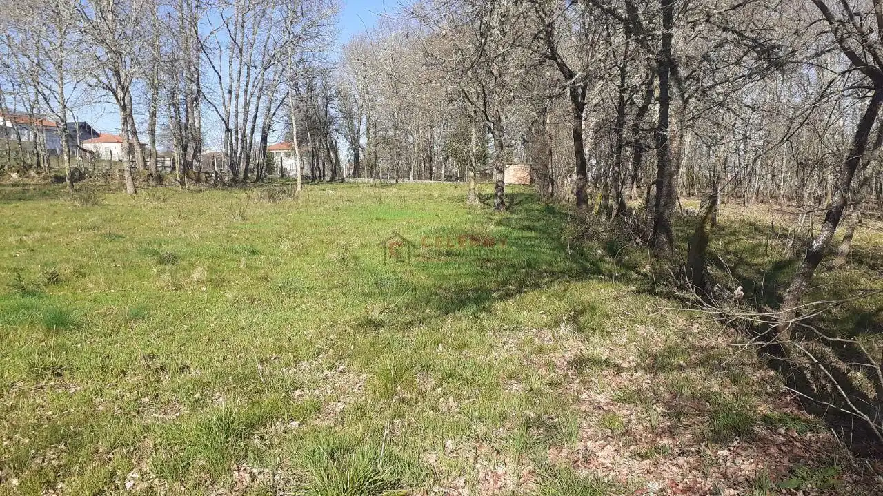 Terreni e lotti in vendita a Paderne de Allariz, imagen 6