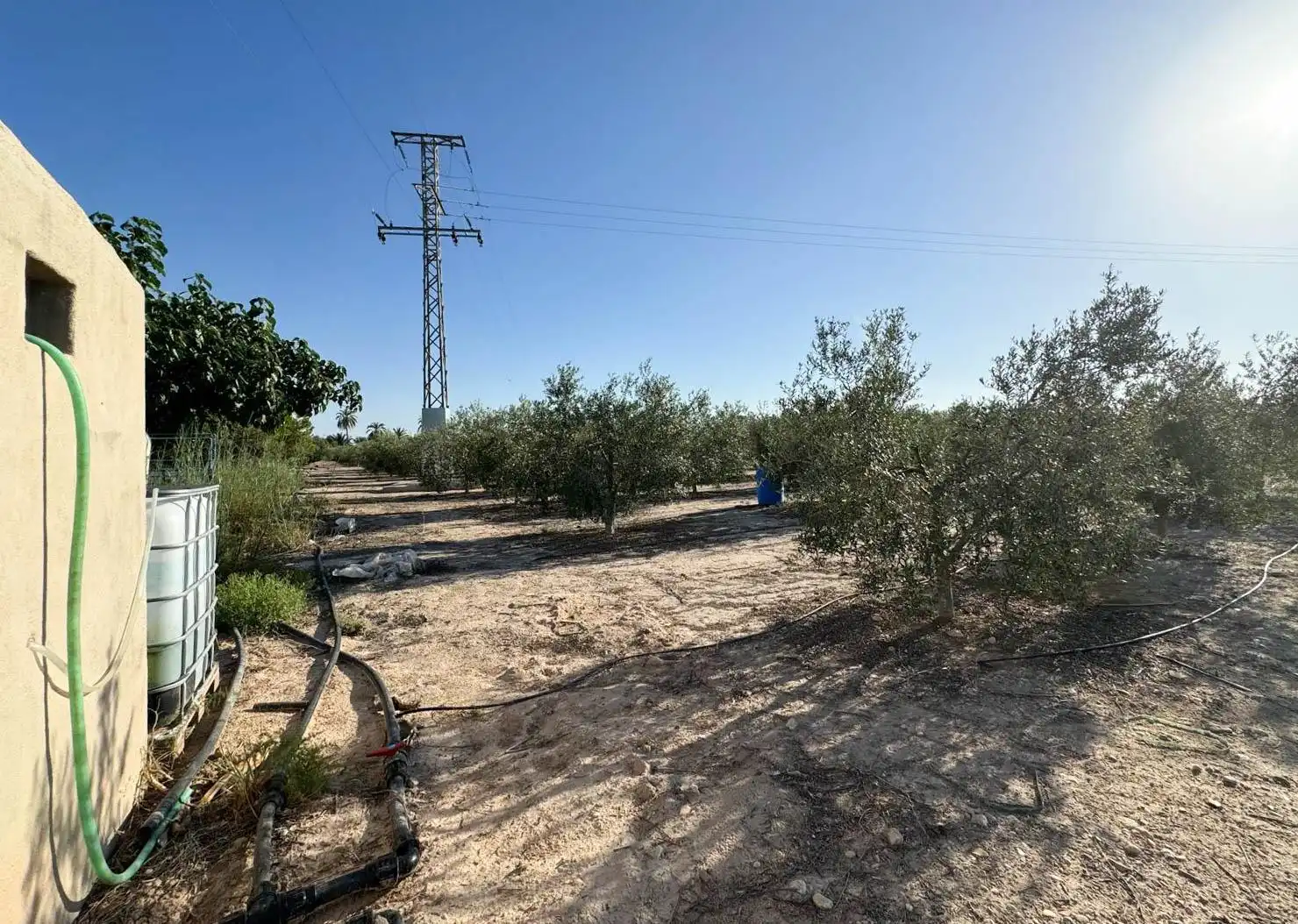 Villa à vendre à Partida Polígono 62 Parcela 80 DAIMES. ELCHE/ELX (ALICANT 62, imagen 19