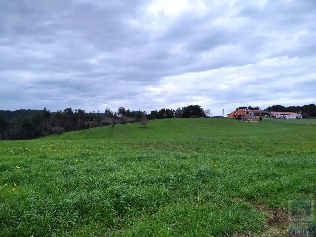 Grundstücke zum Verkauf in Carreño