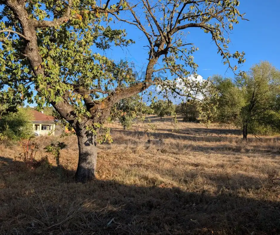 Casa rústica amb jardí en venda a Talayuela, imagen 2