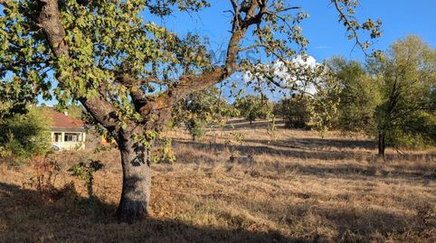 Photo 2 of Country homes for sale in Talayuela, Cáceres