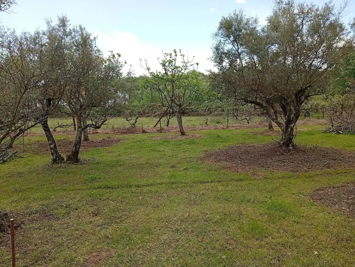 Terreni e lotti in vendita a Villanueva de la Vera, imagen 50