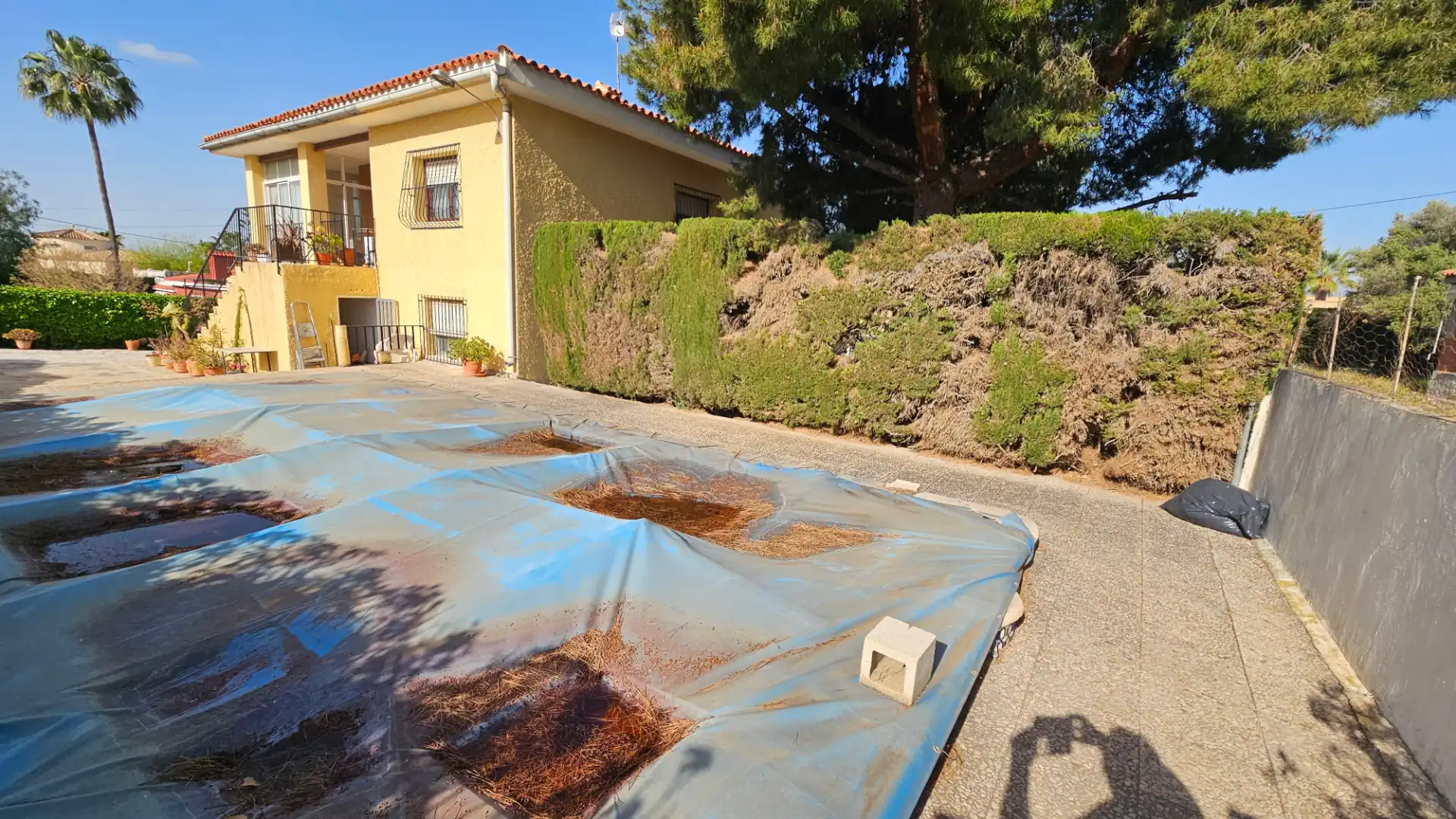 Chalet con terraza en venta en Avenida de los Patos, imagen 3