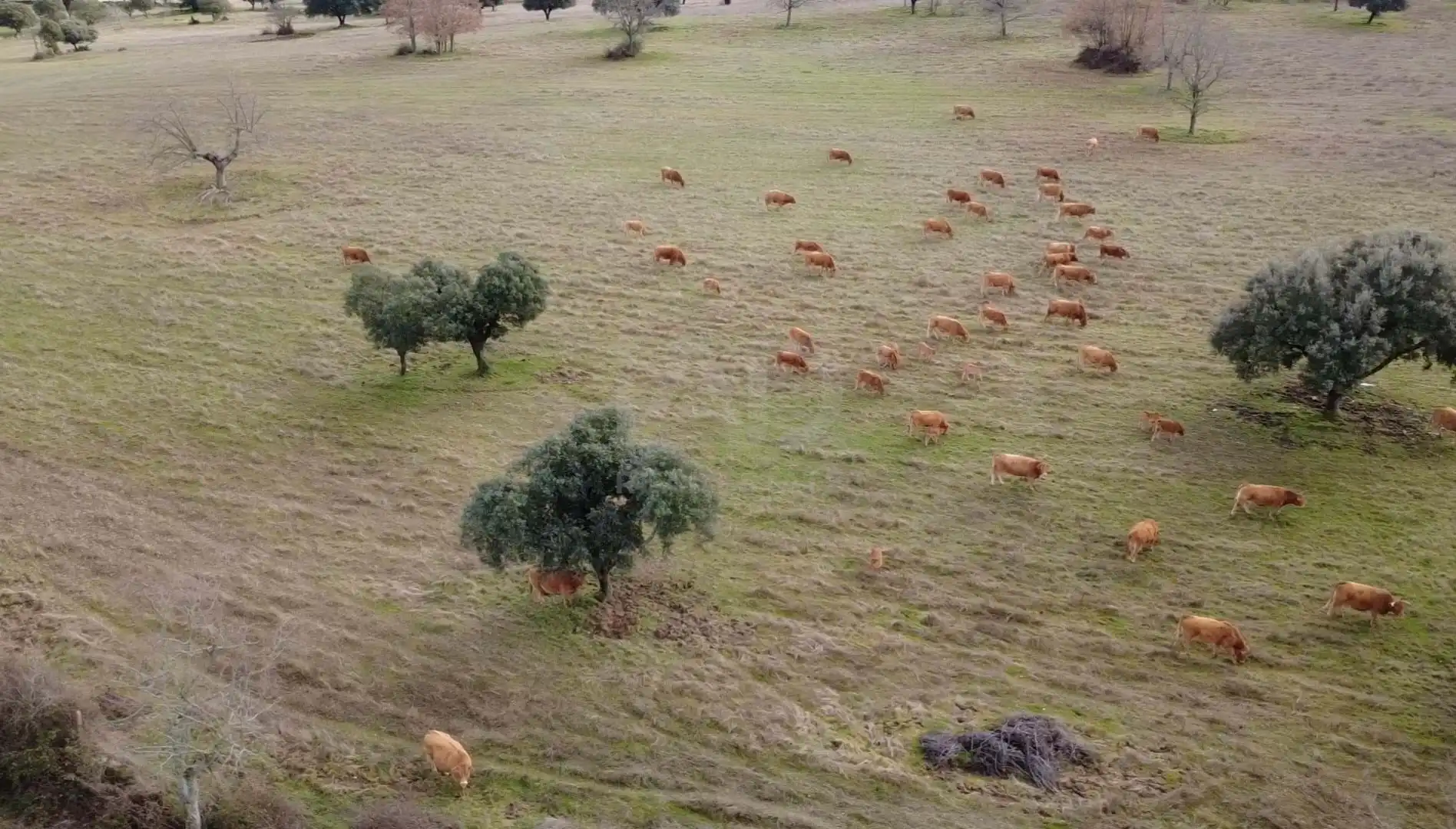 Exterior view of Land for sale in El Manzano 