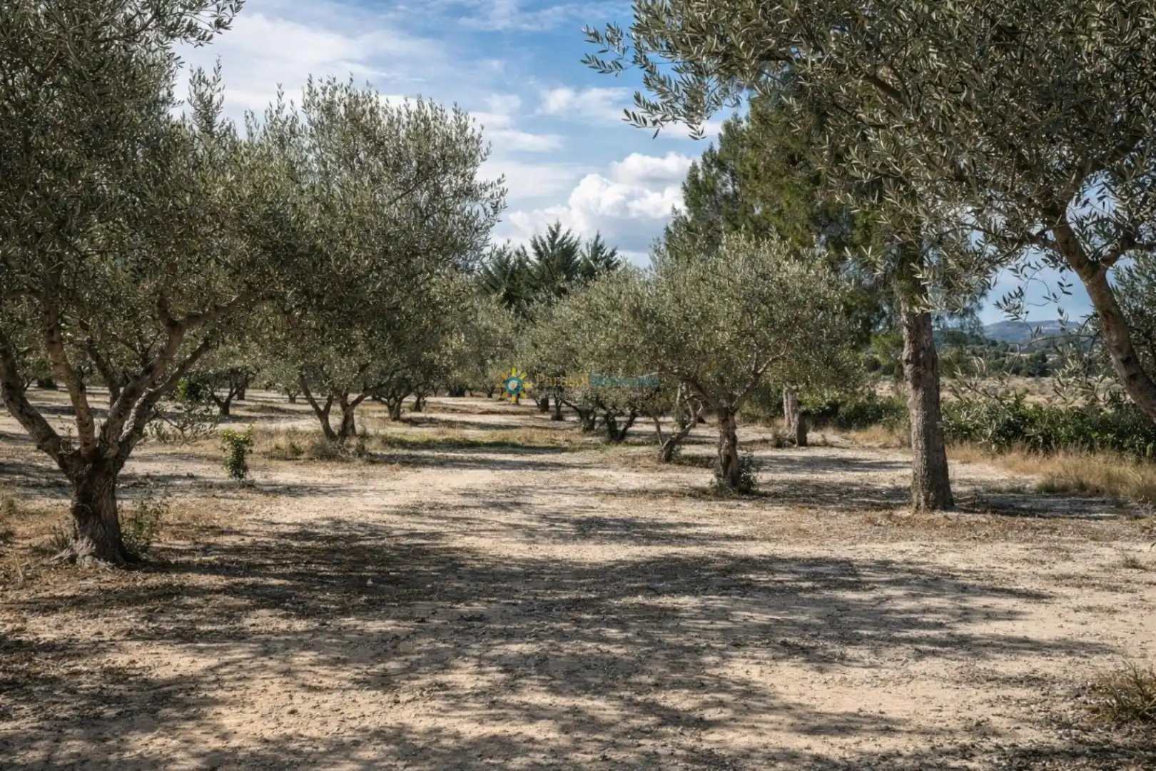 Finca rústica en venta en Bufali con Jardín privado, Terraza y Trastero