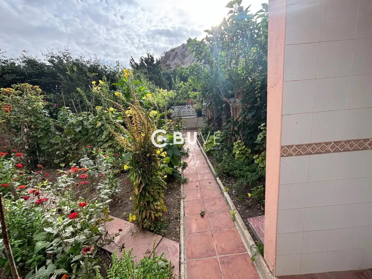 Jardí de Casa o xalet en venda en Cuevas del Becerro amb Aire condicionat, Calefacció i Jardí privat