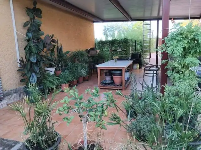 Terrace of Country homes for sale in San Antonio Abad