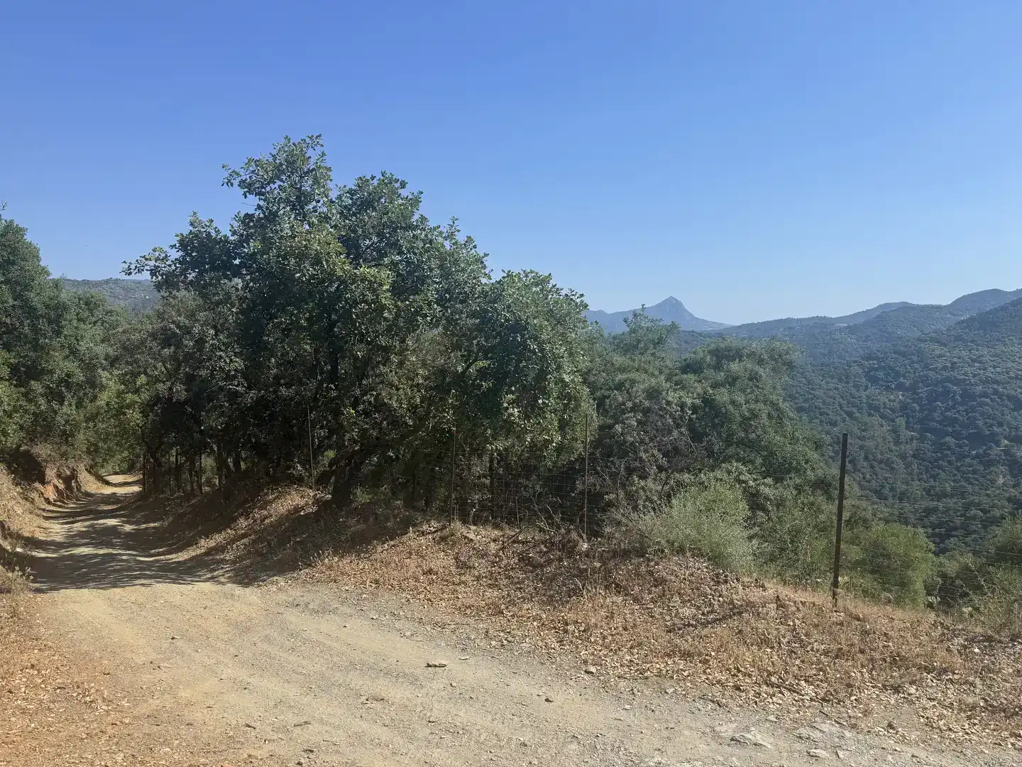 Finca rústica en venda en Benalauría amb Piscina i Balcó