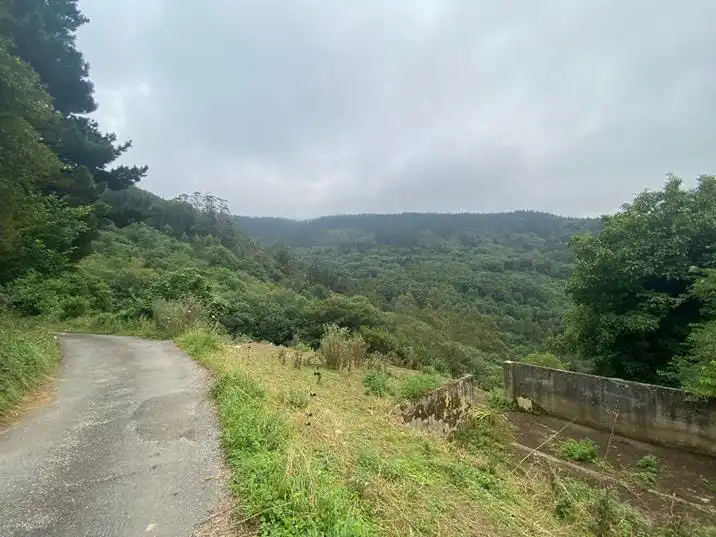 Vista exterior de Finca rústica en venta en Salas