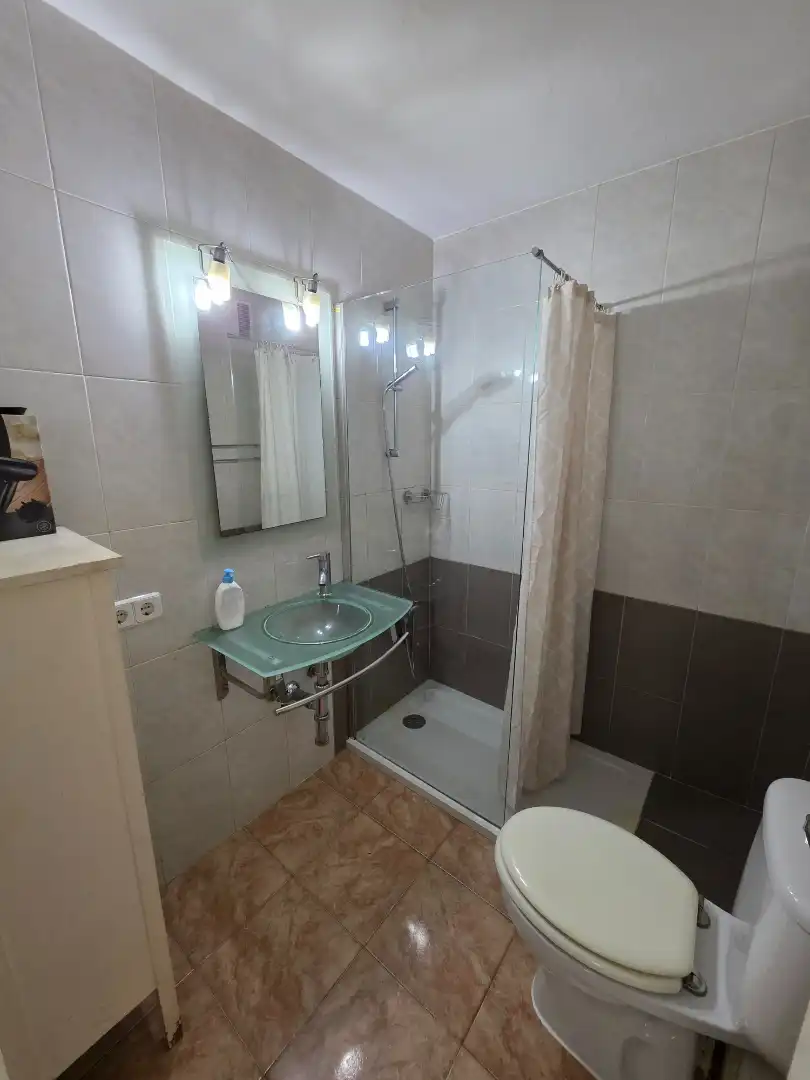 Bathroom of Apartments for rent in Ponent