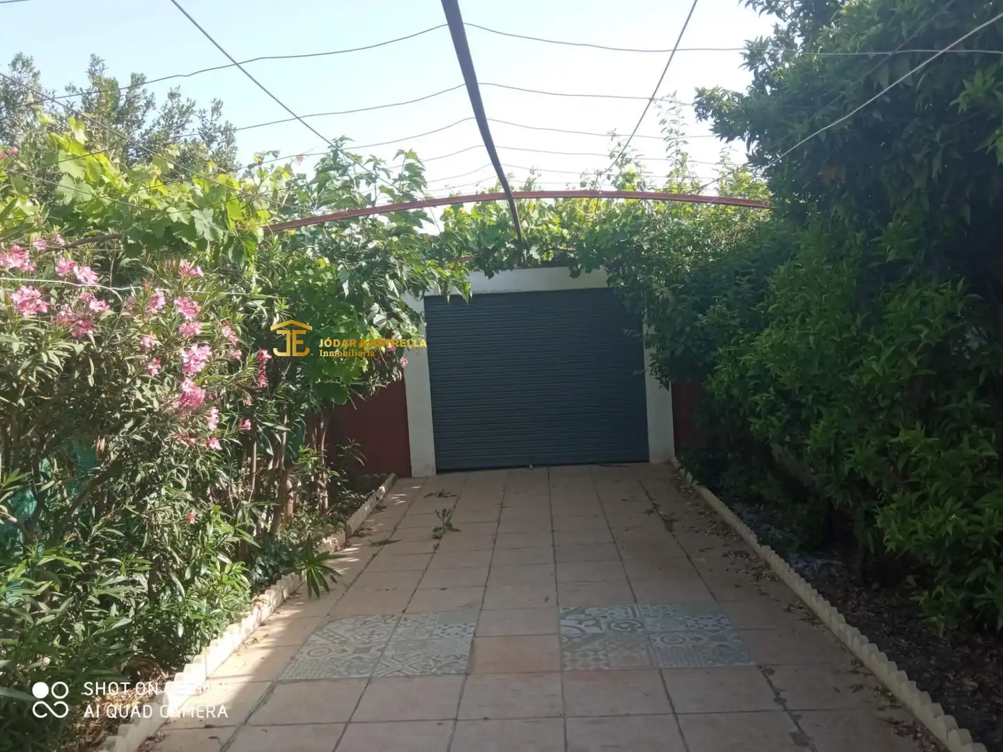 Garden of Houses for sale in Pedanías Norte