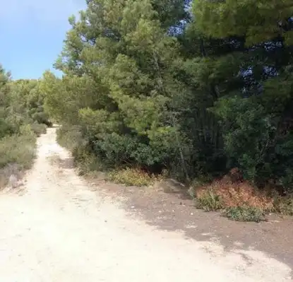 Rustikales Grundstück zum Verkauf in Partida La Mina, imagen 6