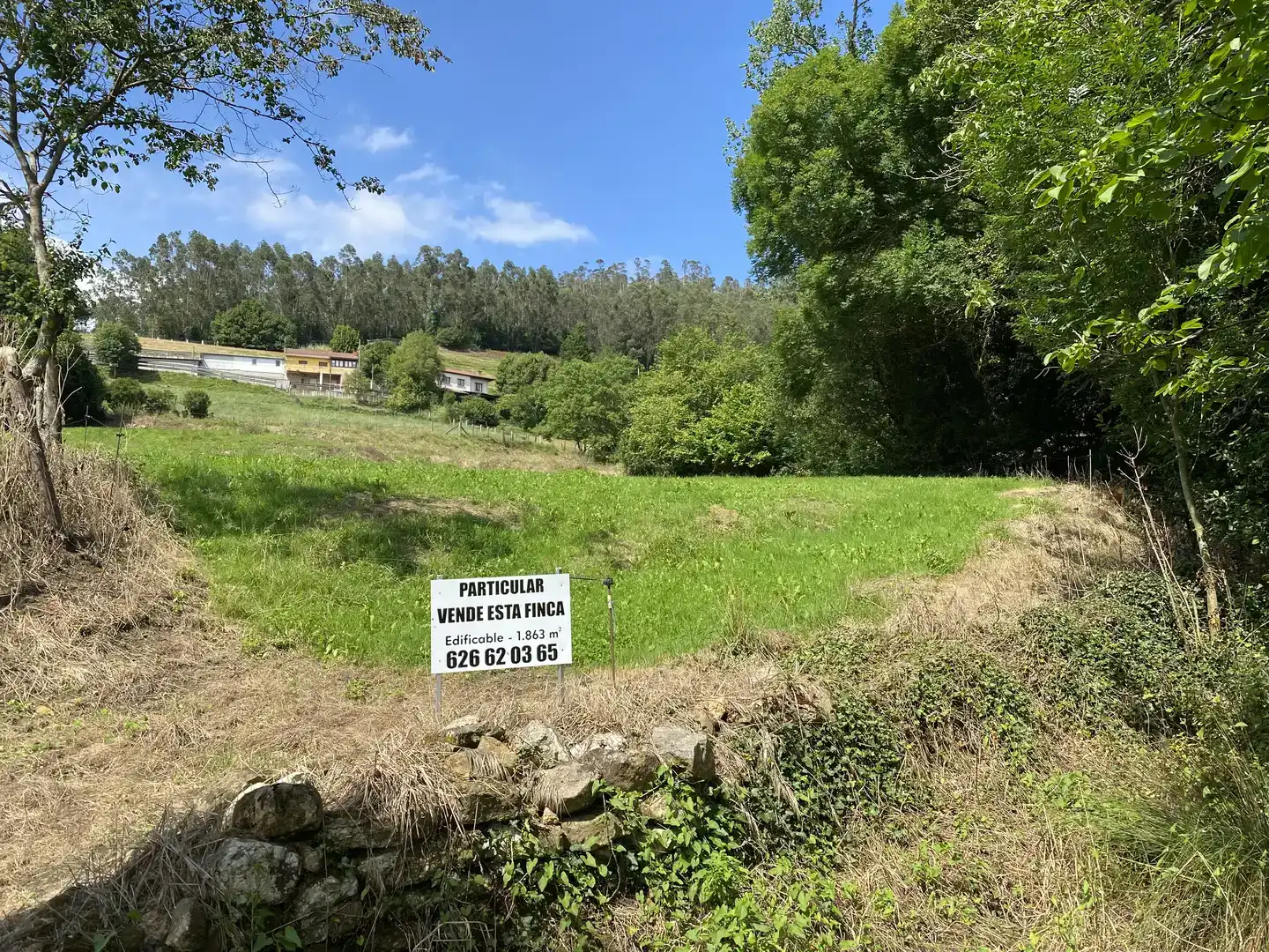 Pis en venda en Llanera