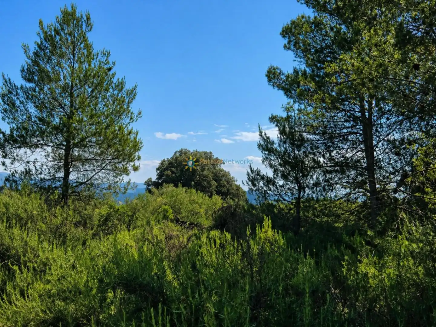 Terreno en venta en Bellús