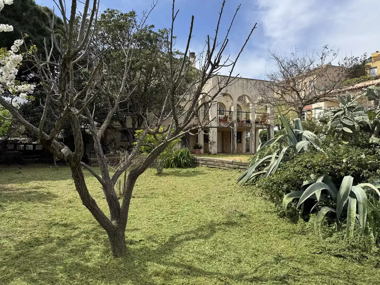 Vista exterior de Casa o chalet en venta en Colera con Jardín privado y Terraza