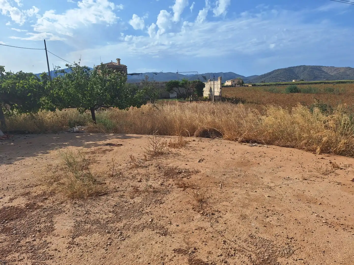 Grundstücke zum Verkauf in Sa Pobla