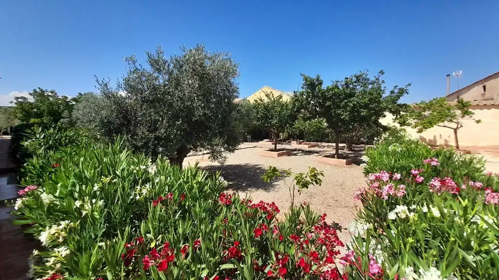 Jardín de Finca rústica en venta en Munera