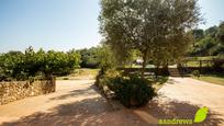 Garden of Country house for sale in Cistella  with Air Conditioner, Heating and Private garden