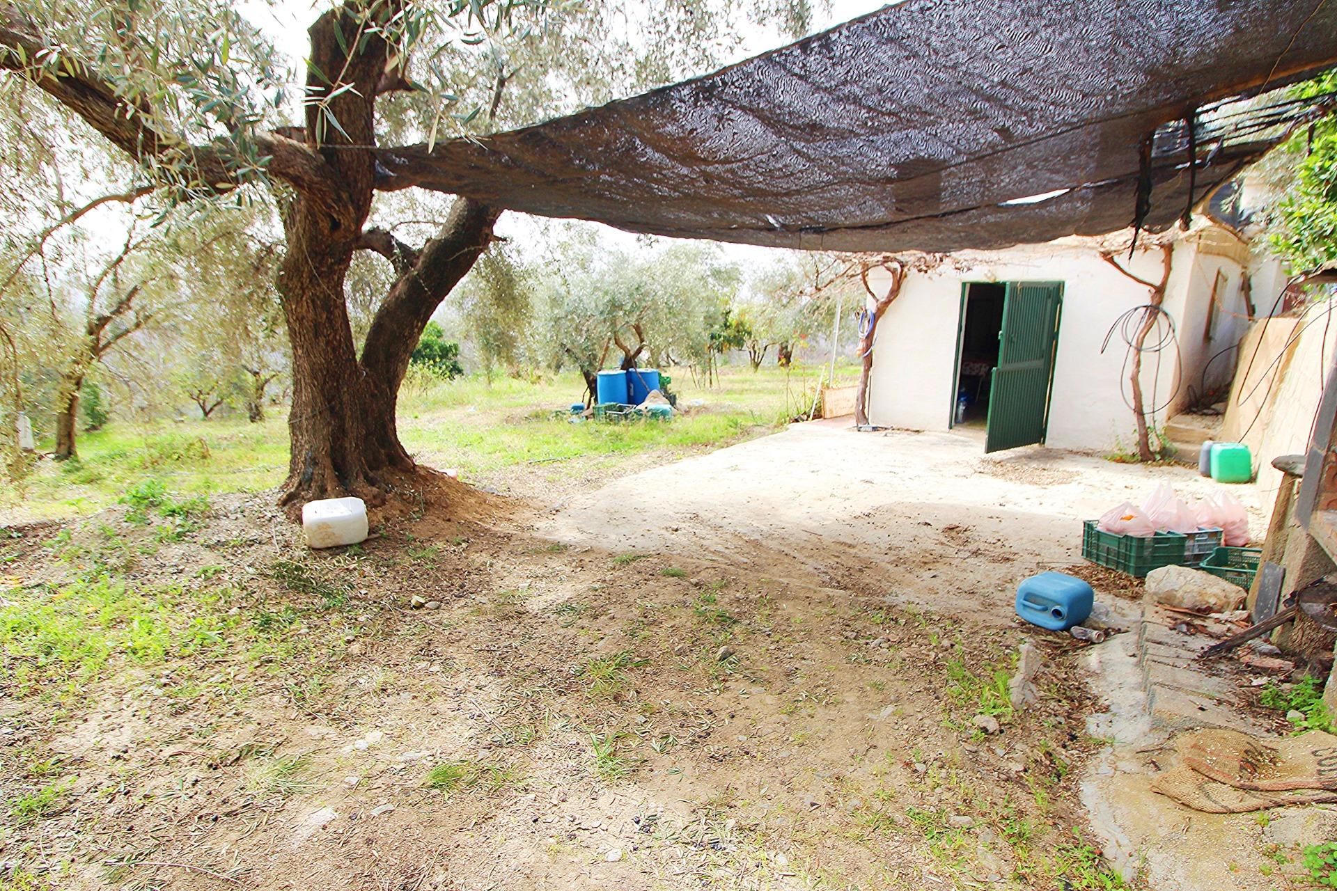Garten von Grundstücke zum verkauf in Nevada