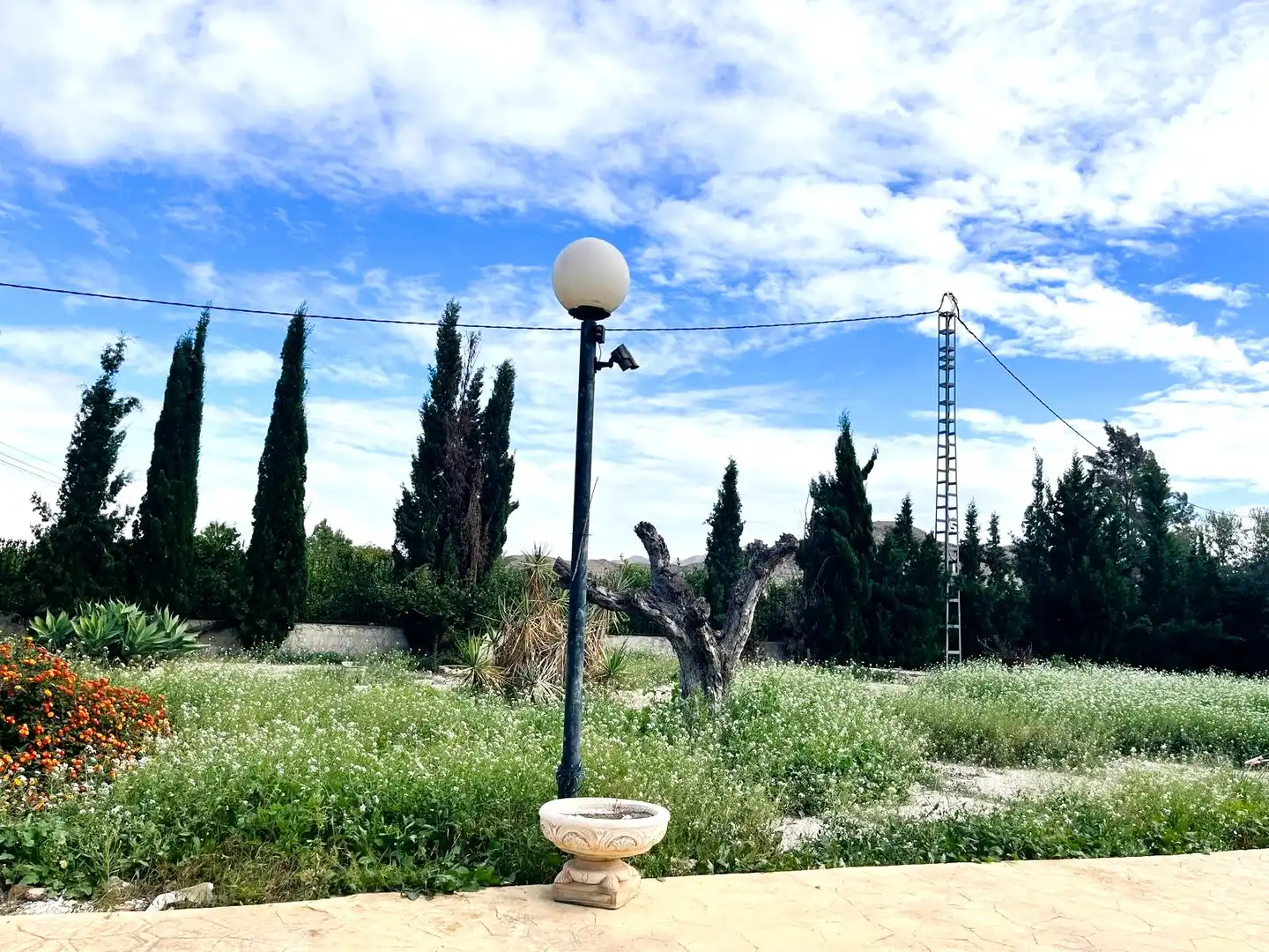 Casa o xalet en venda a Carretera de la Matanza, 11, Benferri