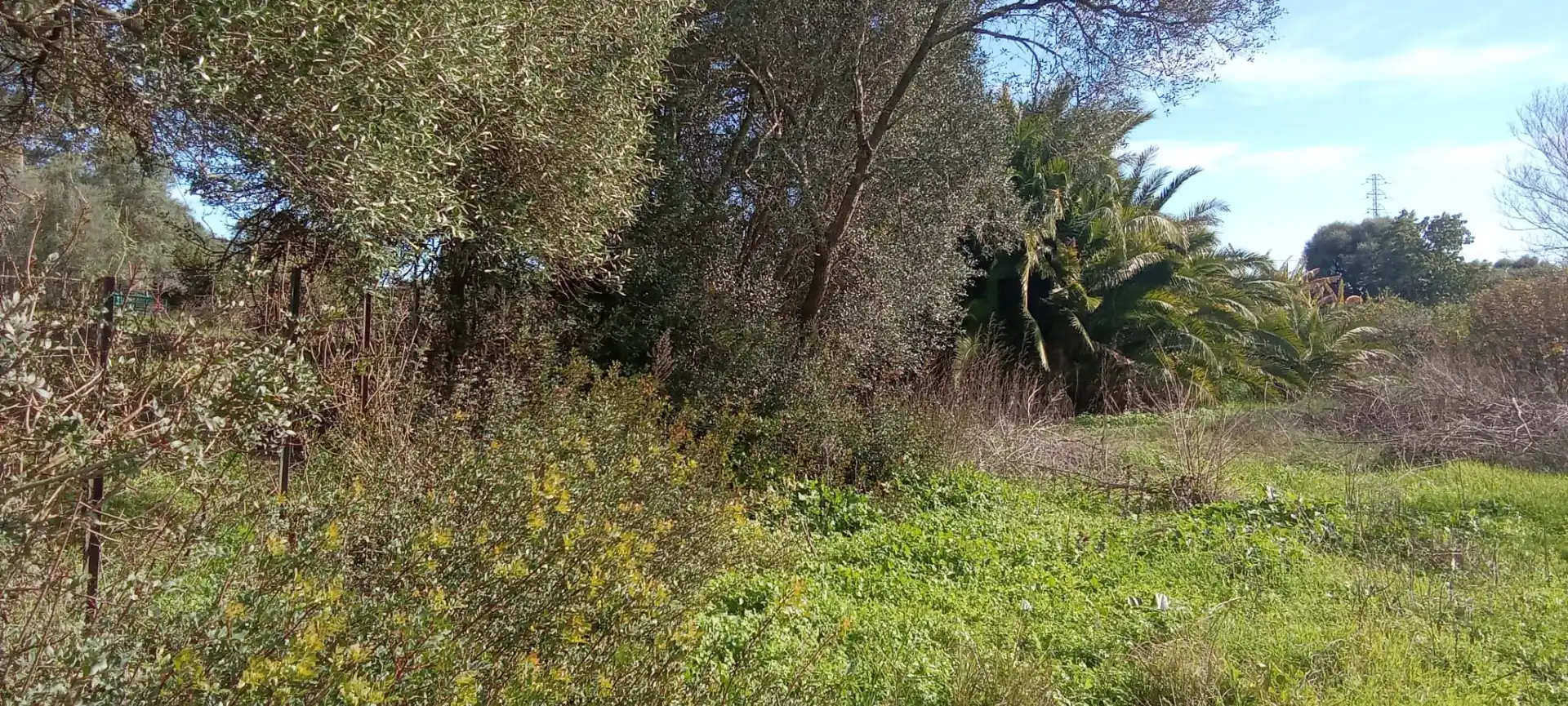 Casa rústica en venda a Vejer, imagen 8