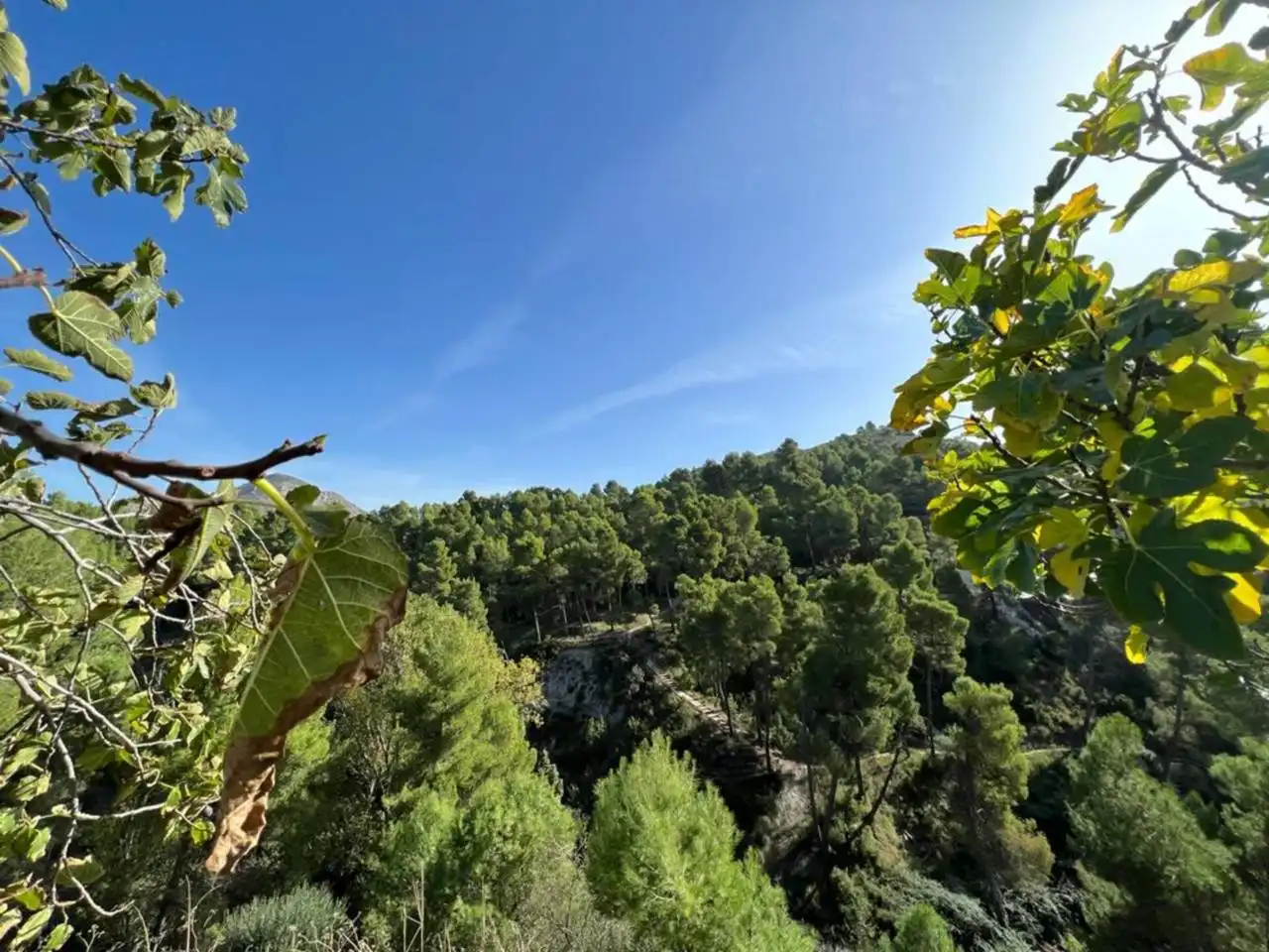 Garden of Houses for sale in Penàguila  with Air Conditioner, Heating and Terrace