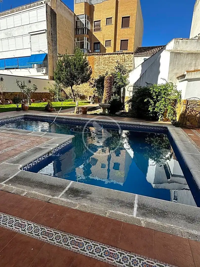 Piscina de Casa o xalet en venda en Linares amb Aire condicionat, Jardí privat i Terrassa