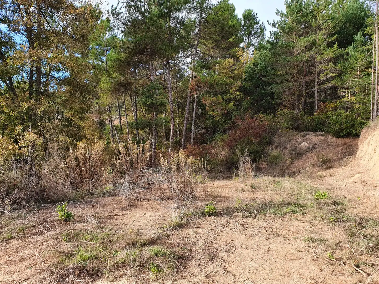 Grundstücke zum Verkauf in Solsona