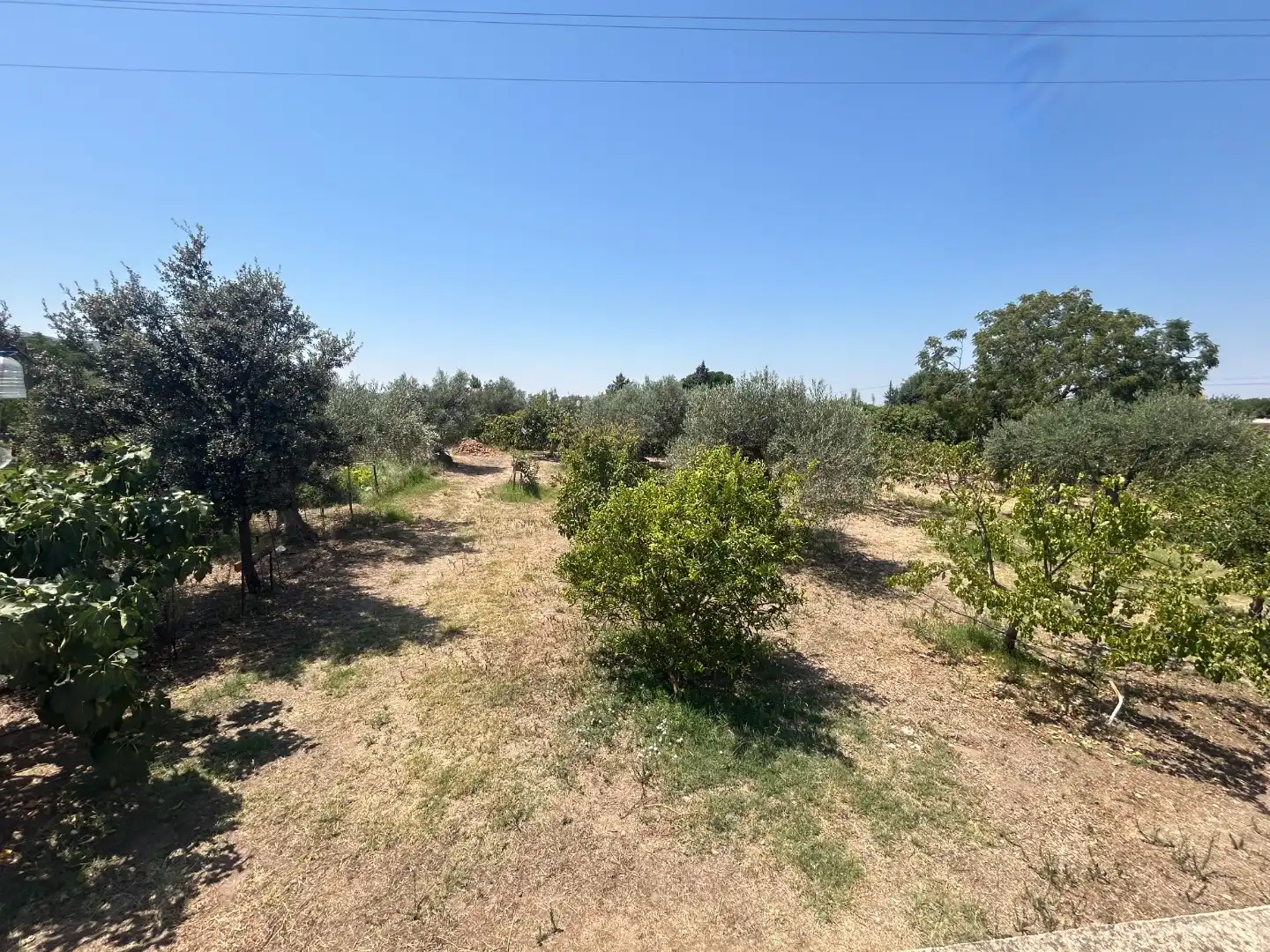 Land for sale in Oeste
