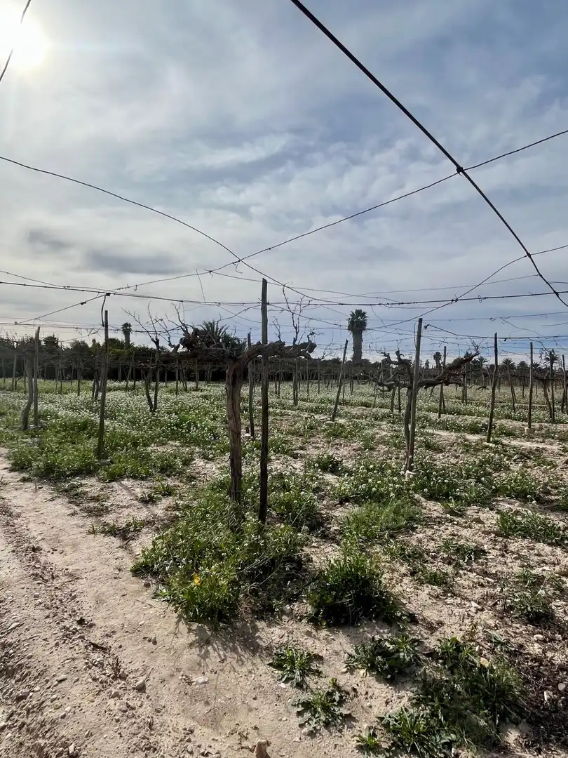 Grundstücke und Bauplätze zum Verkauf in Oria, imagen 7