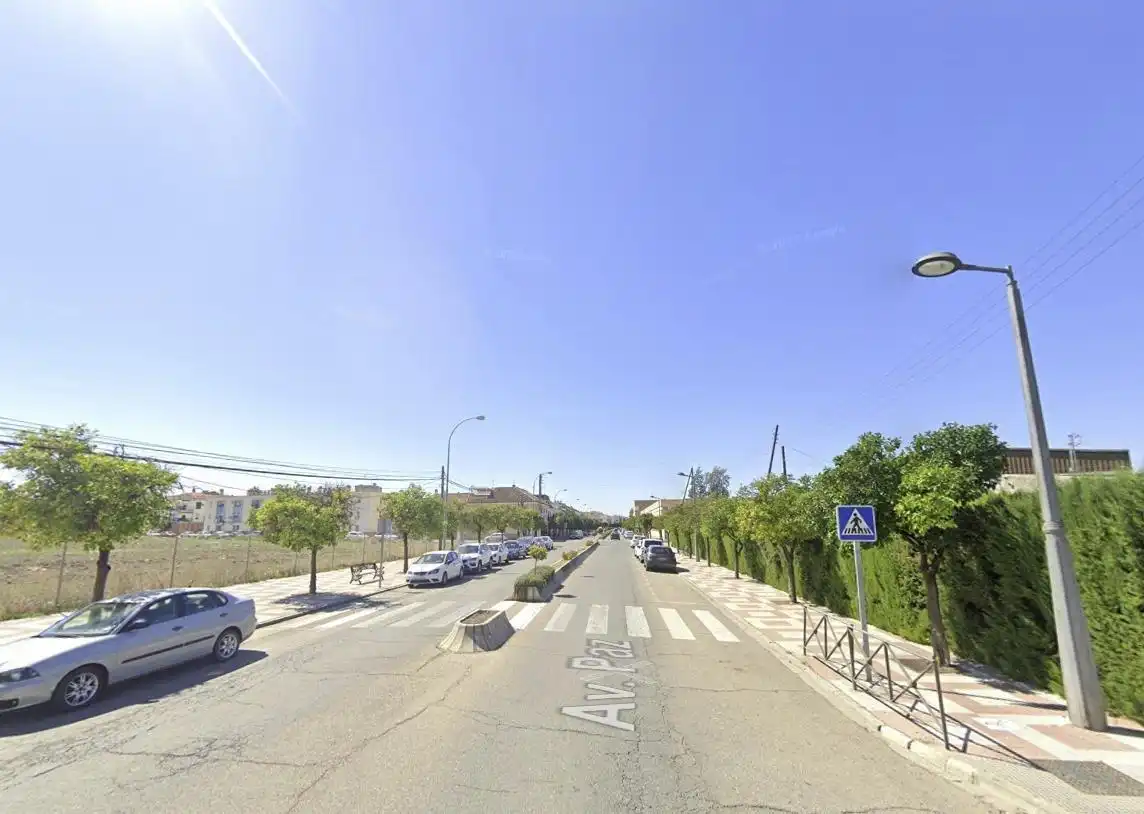 Pis en venda a Palma del Río