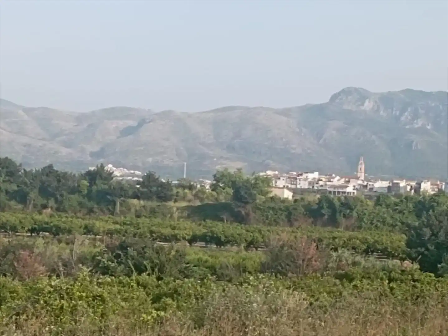 Vista exterior de Terreno en venta en Llutxent, Valencia