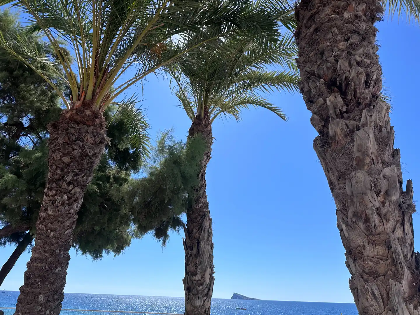 Apartment with lift for sale in Playa de Poniente, imagen 3