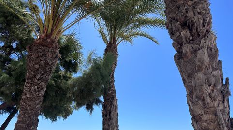 Foto 3 de Apartamento en venta en Playa Poniente, Benidorm