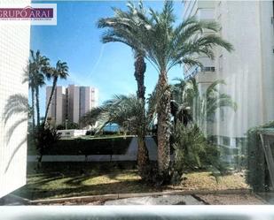 Exterior view of Flat for sale in Alicante / Alacant  with Terrace and Balcony