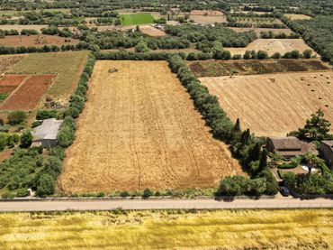 Terrenys i solars en venda a Felanitx Poble