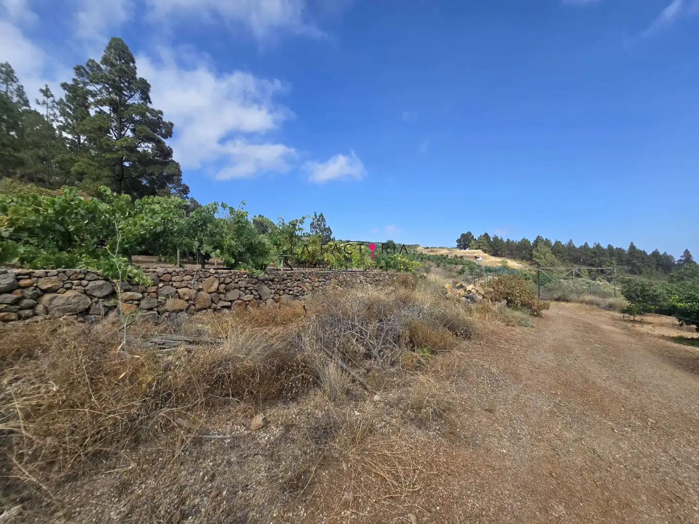 Terreno en venta en Cruz de Tea