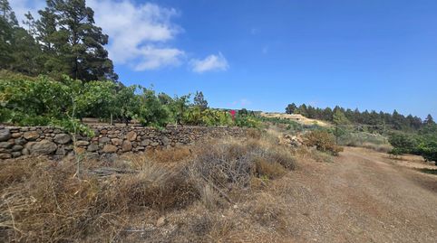 Foto 3 de Terreno en venta en Calle Zurrones, 11, Cruz de Tea, Granadilla de Abona