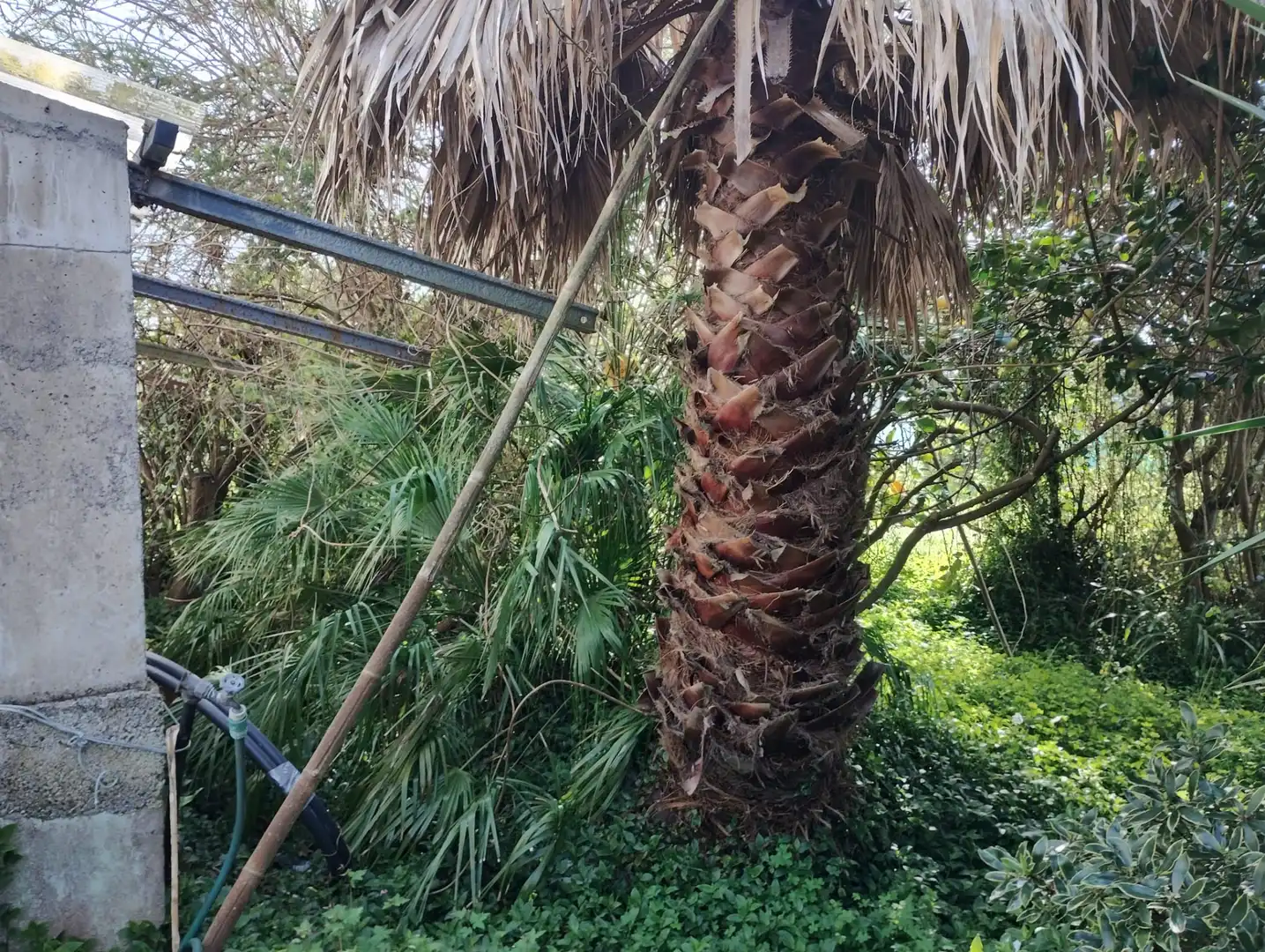 Maison avec jardin à vendre à A Malata - Catabois - Ciudad Jardín, imagen 9